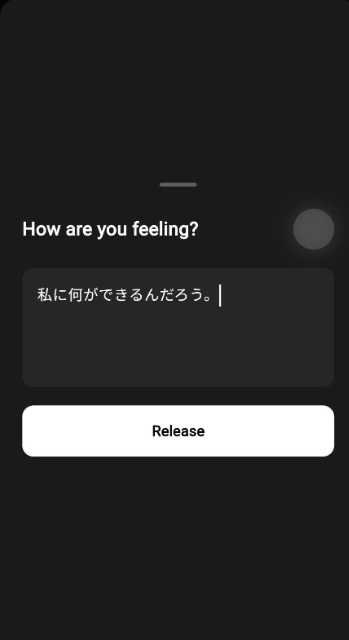 Anima input screen